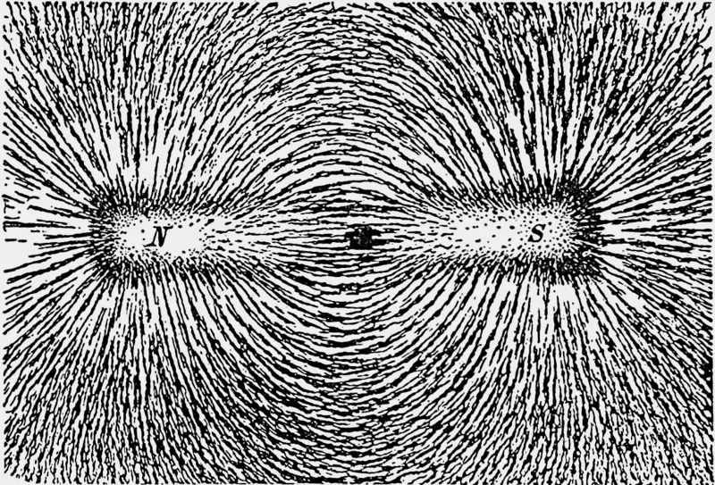 Iron filings sprinkled on paper over a bar magnet, with N marked on the left and S on the right. The filings line up in curved lines that leave the north pole, loop around and enter the south pole. They are packed most densely near the two poles.