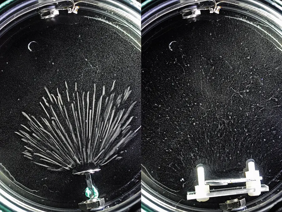 Two photographs from a cloud chamber, side by side. Left: dozens of short, thick, straight white tracks fan out from an alpha source at the bottom, all about the same length. Right: a beta source at the bottom, with only faint, thin, wiggly tracks scattered across the chamber.